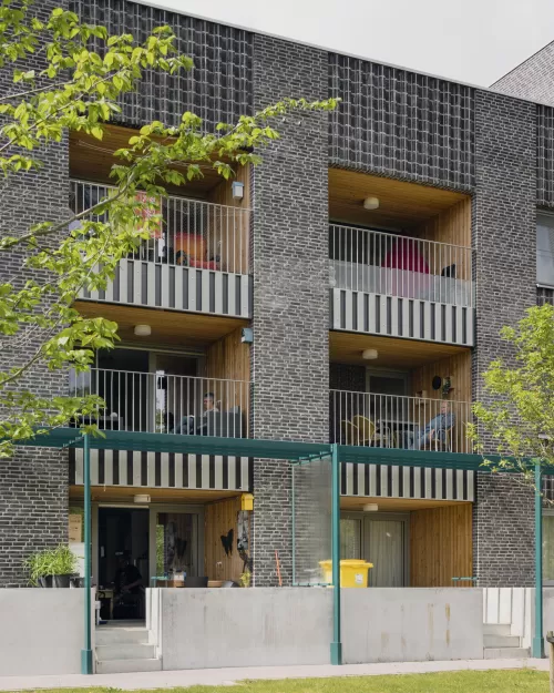 brasel_dennisdesmet_10