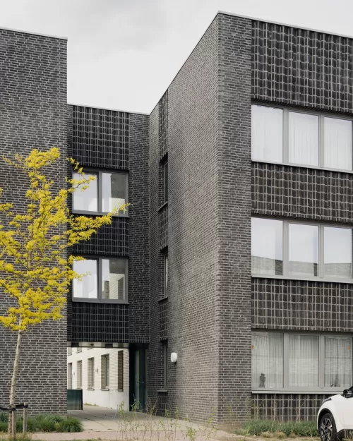 brasel_dennisdesmet_12