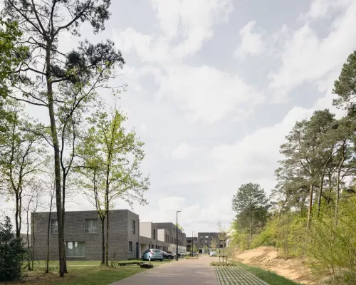 brasel_dennisdesmet_25