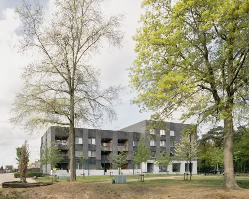 brasel_dennisdesmet_5